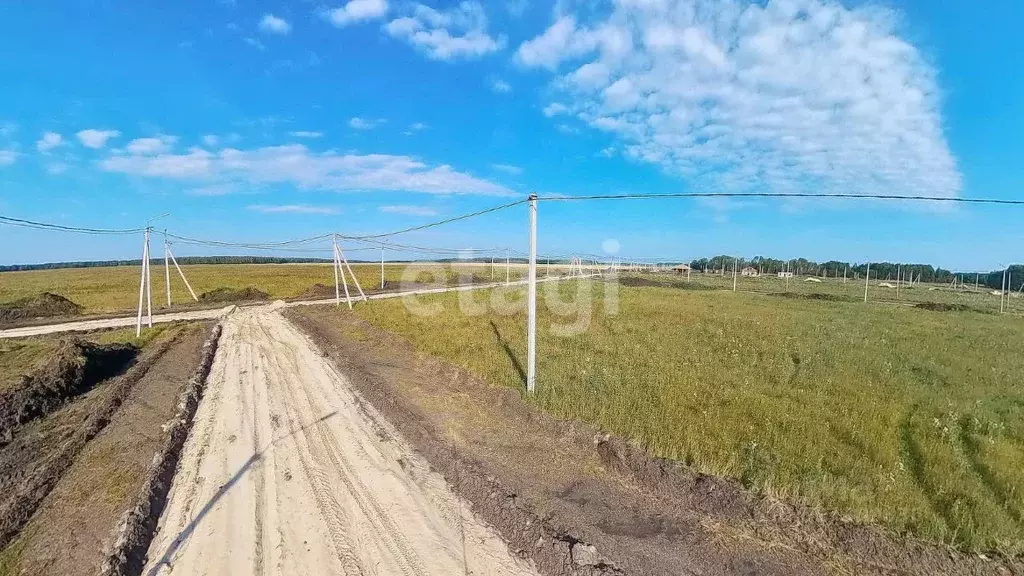 Участок в Тюменская область, Тюменский муниципальный округ, Каменское ... - Фото 1