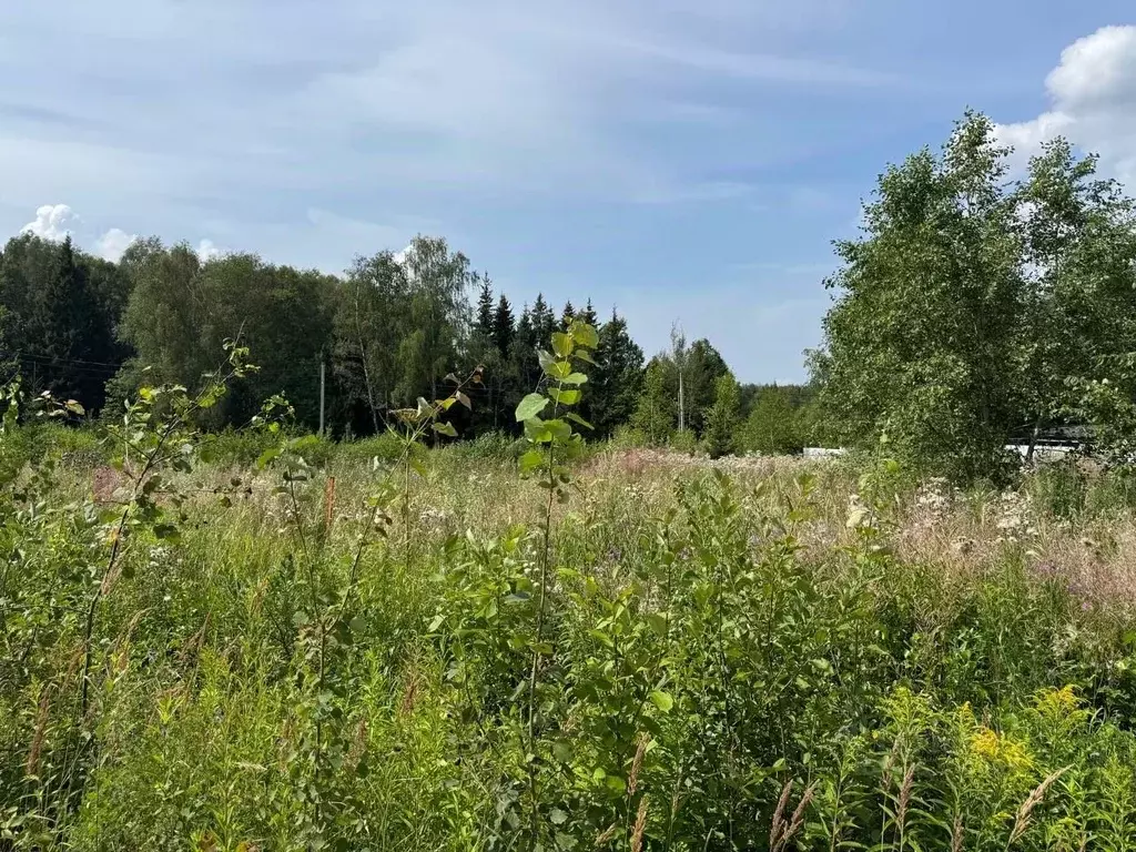 Участок в Московская область, Дмитровский муниципальный округ, ... - Фото 1