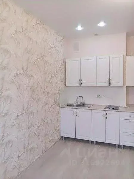 Студия Краснодарский край, Новороссийск Цемдолина тер., ул. Красина, ... - Фото 1