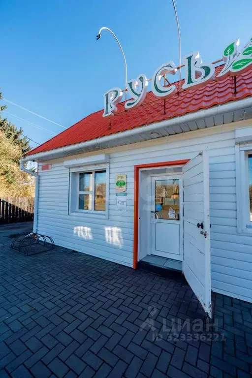 Торговая площадь в Алтайский край, Алтайский район, с. Алтайское ул. ... - Фото 1