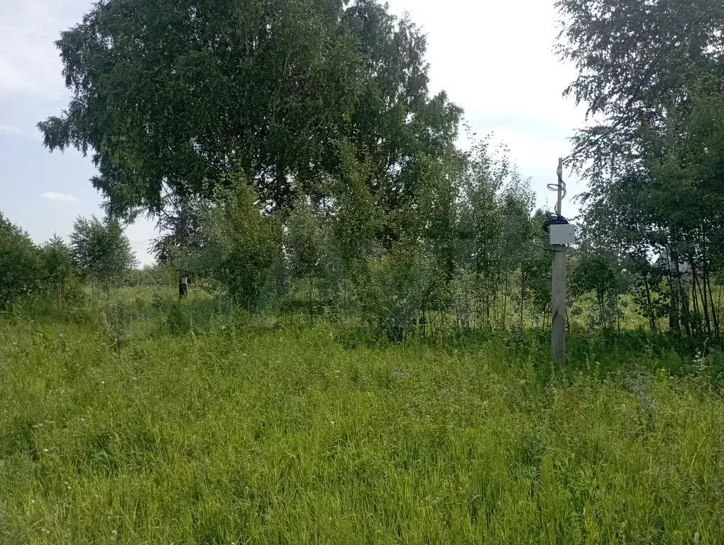 Участок 55 сот. (СНТ, ДНП) - Фото 0