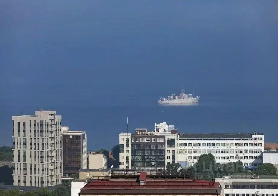 2-к кв. Приморский край, Владивосток ул. Прапорщика Комарова, 34 (53.0 ... - Фото 1