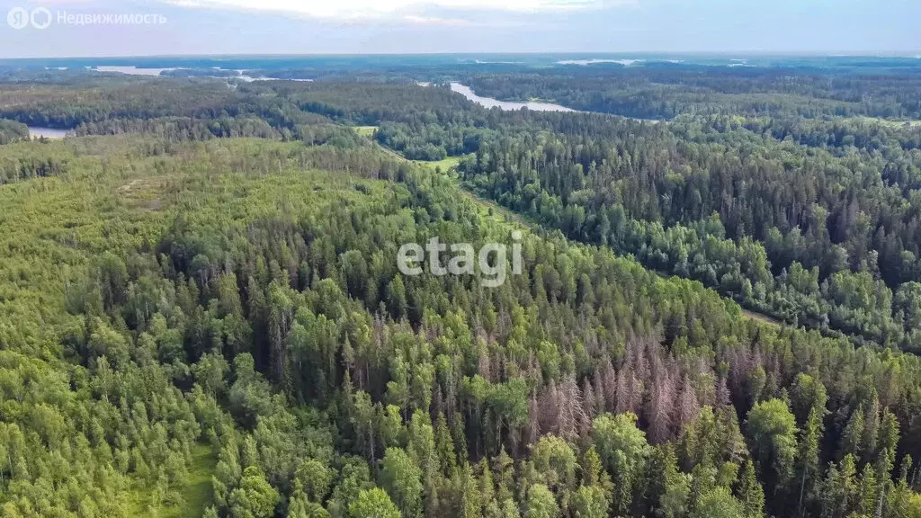 Участок в Севастьяновское сельское поселение, садоводческое ... - Фото 0