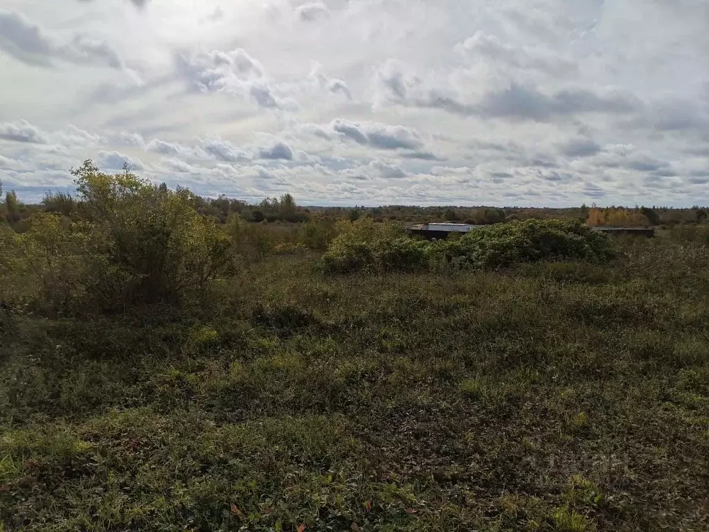 Участок в Новгородская область, Новгородский район, Борковское с/пос, ... - Фото 1