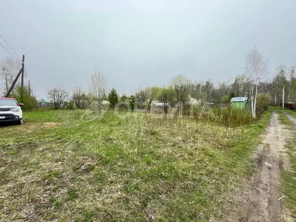 Участок в Тюменская область, Тюменский район, Исток СНТ  (7.83 сот.) - Фото 0