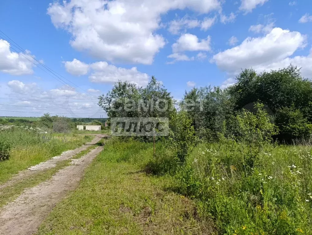 Участок 10 сот. (СНТ, ДНП) - Фото 1