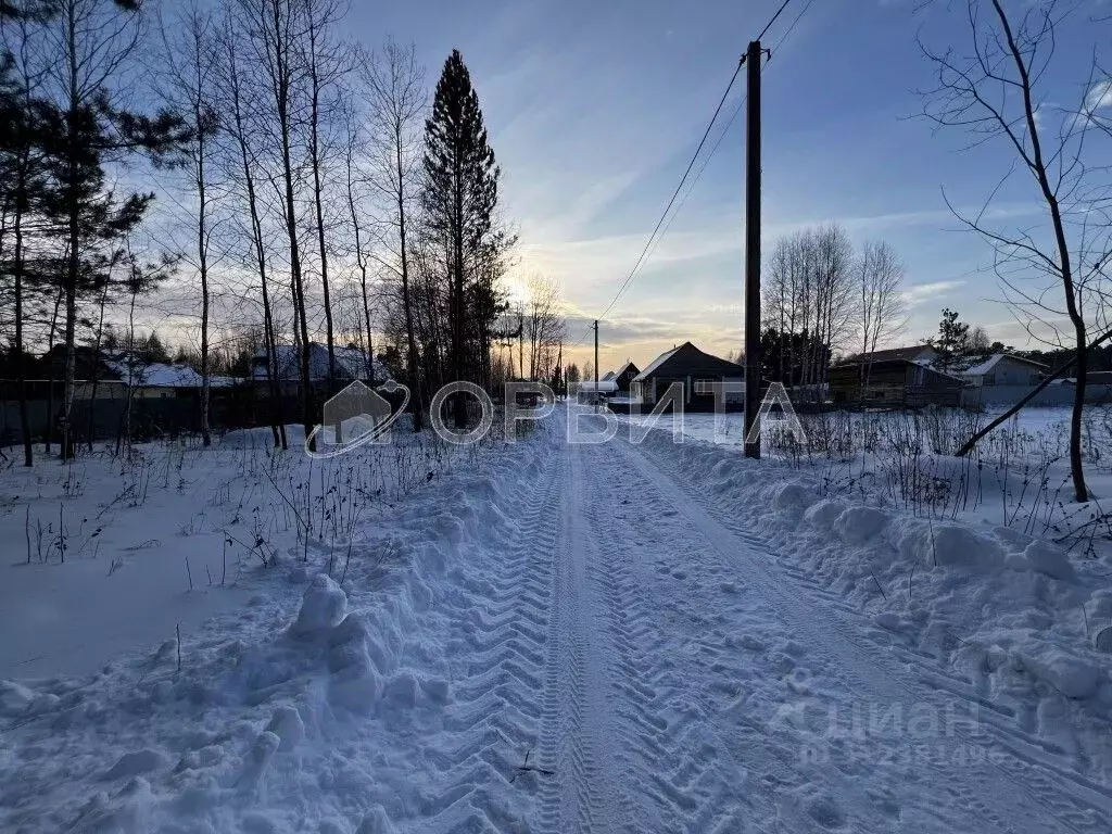 Участок в Тюменская область, Нижнетавдинский район, с. Тюнево ул. ... - Фото 1