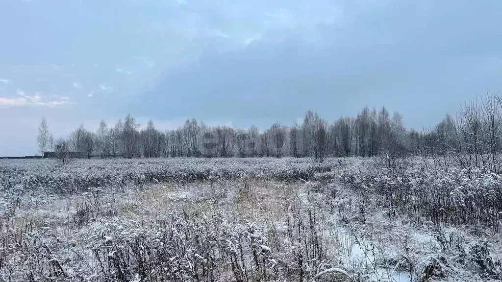 Участок в Тульская область, Тула городской округ, с. Федоровка ул. ... - Фото 1