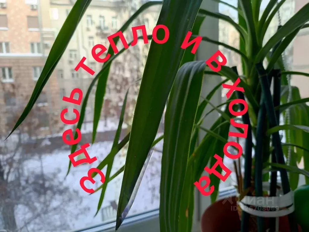 3-к кв. Москва Новинский бул., 16С4 (80.0 м) - Фото 1