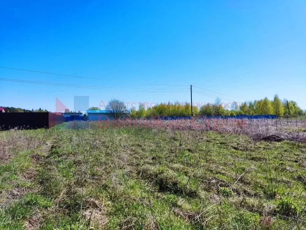 Участок в Нижегородская область, Городецкий муниципальный округ, с. ... - Фото 1
