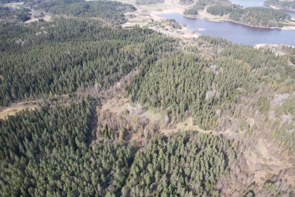 Участок в Карелия, Лахденпохский муниципальный округ, пос. Куркиеки, ... - Фото 2