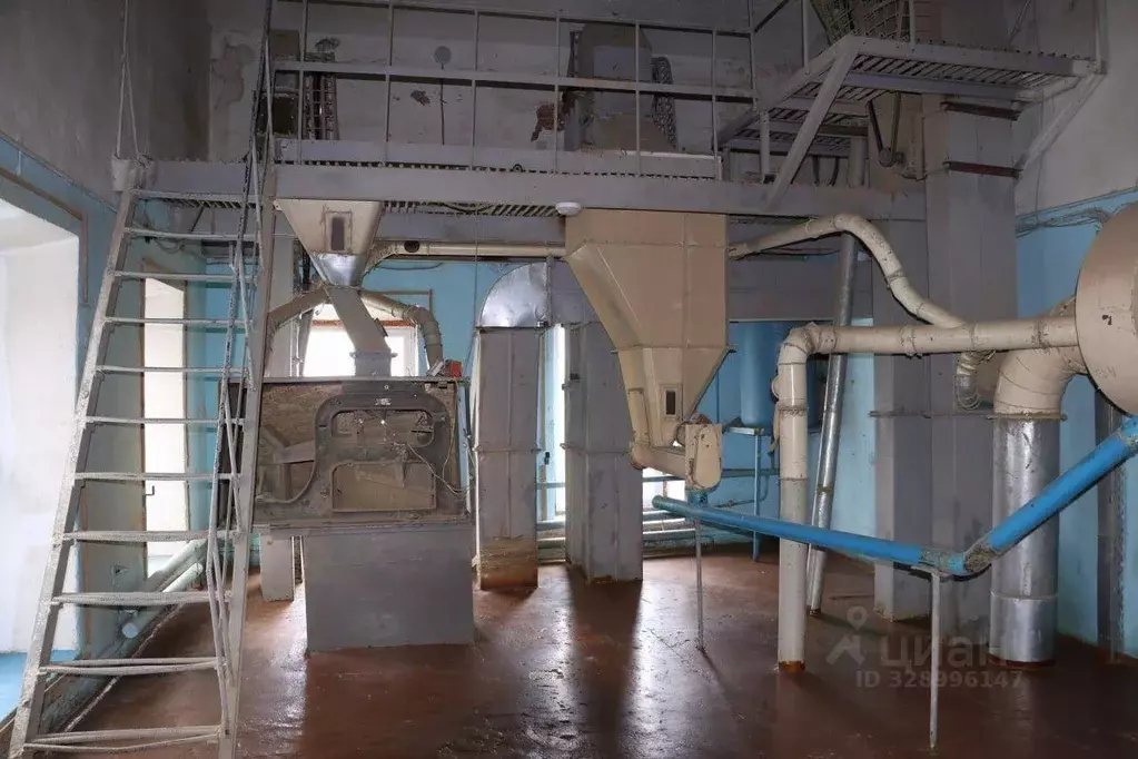 Производственное помещение в Саратовская область, Екатериновка рп ул. ... - Фото 2