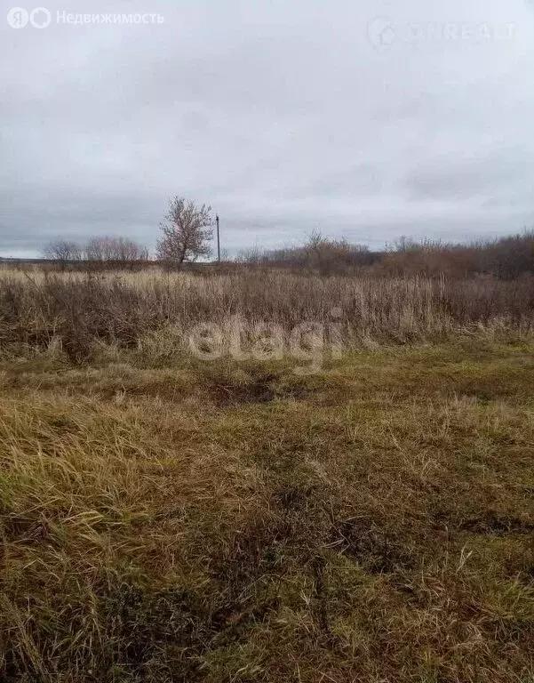 Участок в Республика Мордовия, городской округ Саранск, рабочий ... - Фото 1