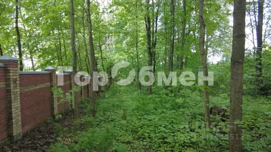 Участок в Московская область, Истра  (13.0 сот.) - Фото 2