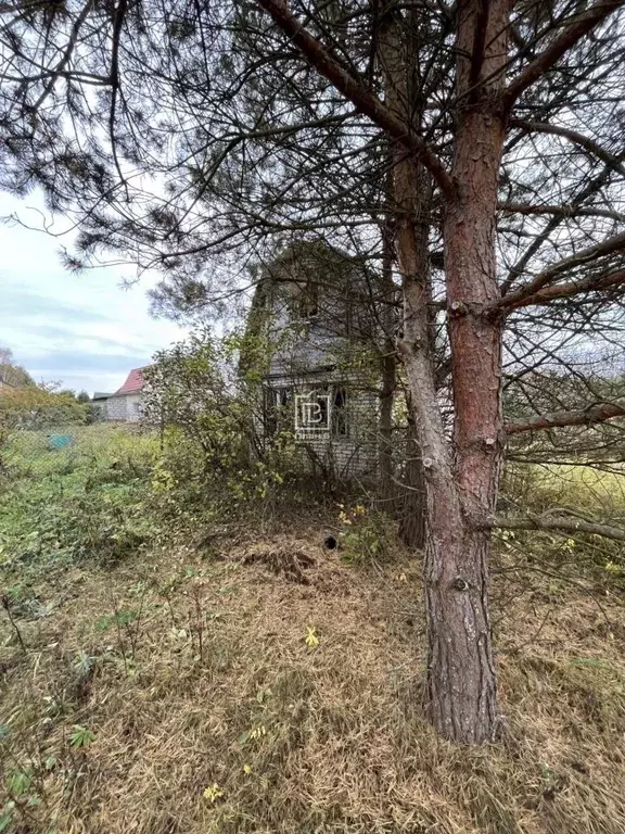 Участок в Калужская область, Дзержинский муниципальный округ, Льва ... - Фото 2