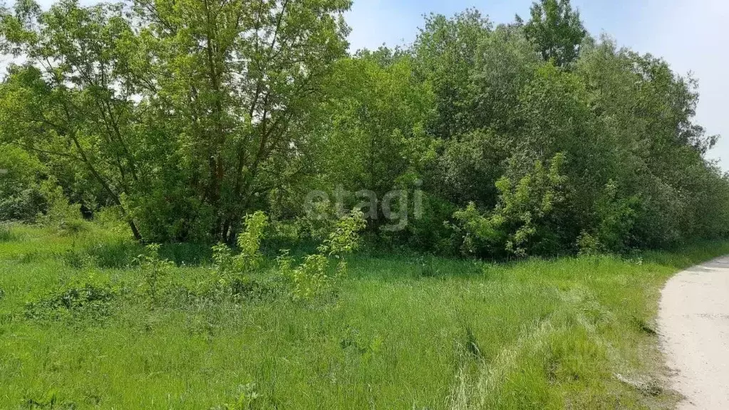 Участок в Владимирская область, Муром д. Макаровка, ул. Большая ... - Фото 0