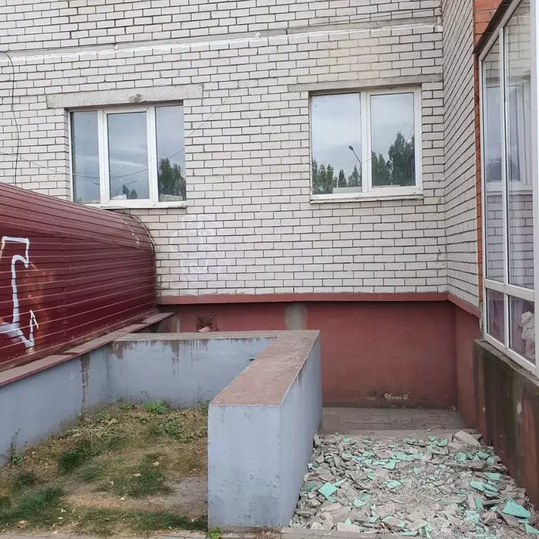 Помещение свободного назначения в Воронежская область, Воронеж ул. ... - Фото 0