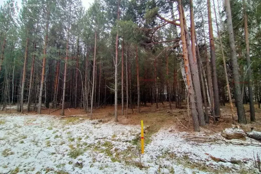 Участок в Черноусово, Лесная улица (13 м) - Фото 2