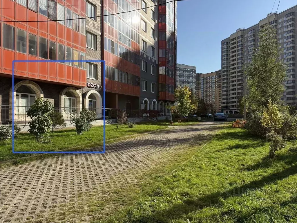 Помещение свободного назначения в Ленинградская область, Мурино ... - Фото 1