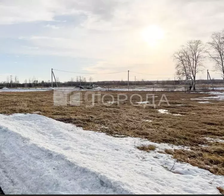 Участок в Новосибирская область, Новосибирский район, Криводановский ... - Фото 1