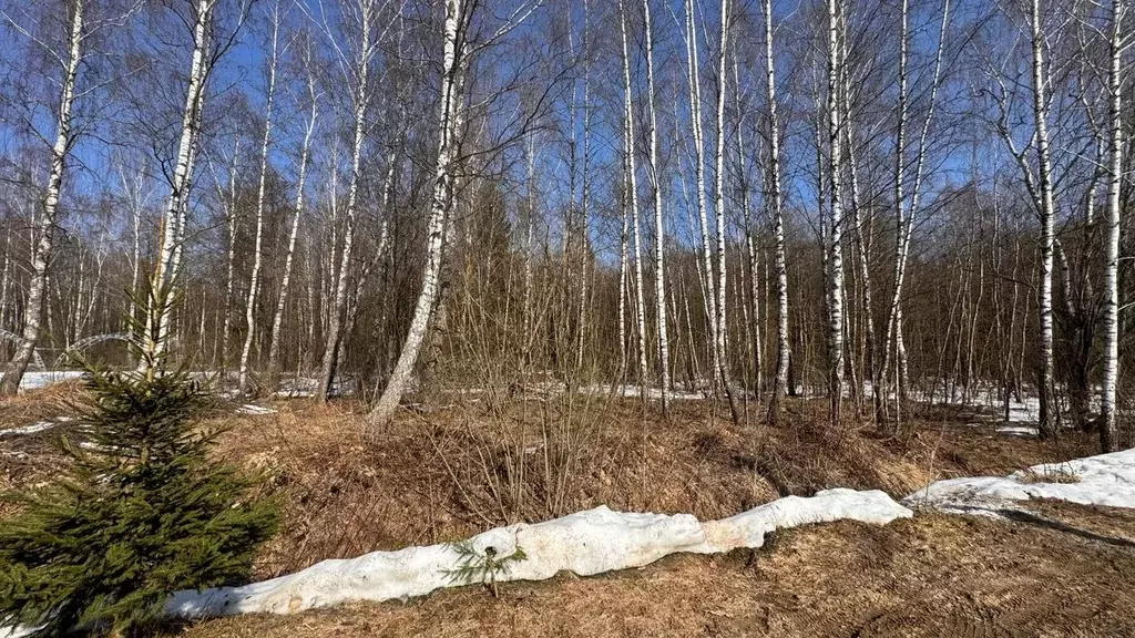 Участок в Калужская область, Жуковский муниципальный округ, Коттедж ... - Фото 1