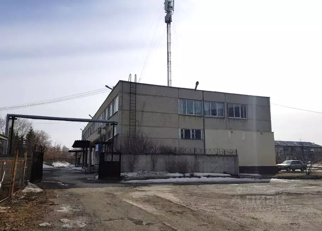 Помещение свободного назначения в Свердловская область, Сухой Лог ... - Фото 2