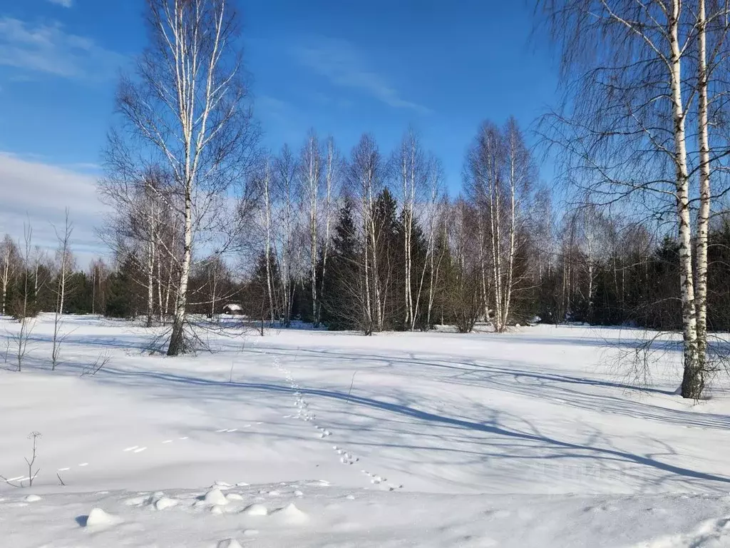 Участок в Владимирская область, Киржачский район, Кипревское ... - Фото 1