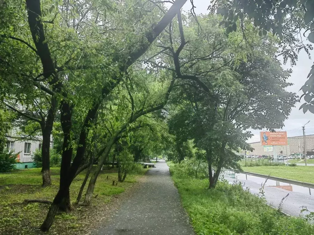 1-к кв. Приморский край, Находка Озерный бул., 9А (29.0 м) - Фото 1