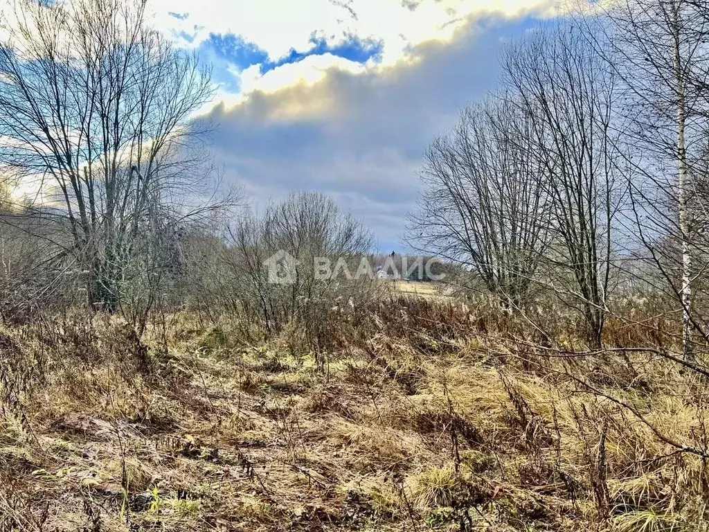 Участок в Владимирская область, Александровский муниципальный округ, ... - Фото 2