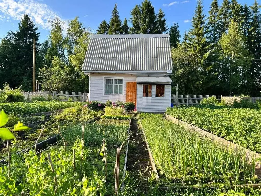 Дом в Сыктывкар, территория Дырносский, СНТ Север (30 м) - Фото 0