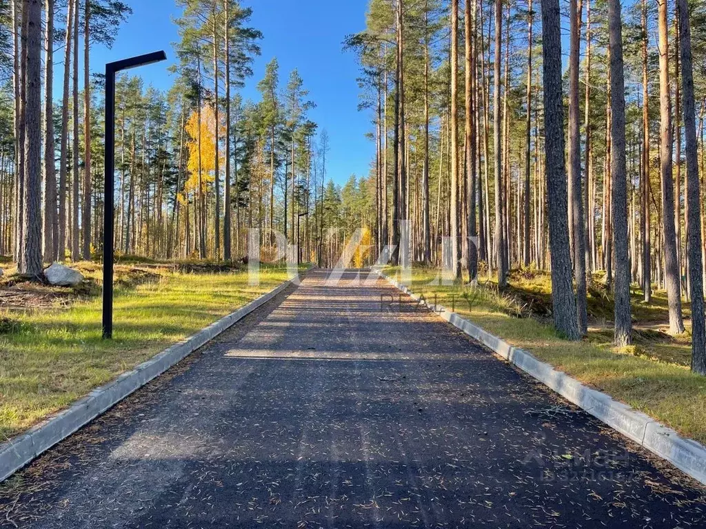 Участок в Ленинградская область, Приозерский район, Петровское с/пос, ... - Фото 2