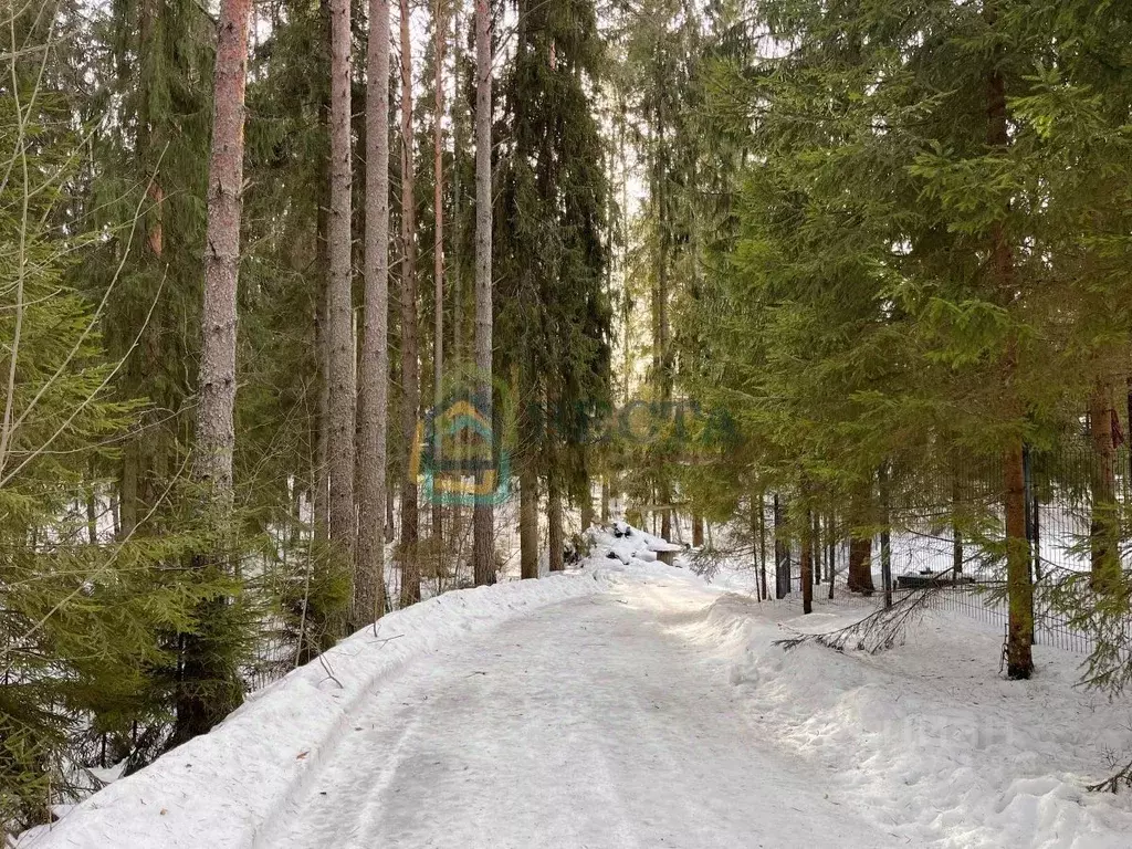 Участок в Ленинградская область, Всеволожский район, Куйвозовское ... - Фото 1