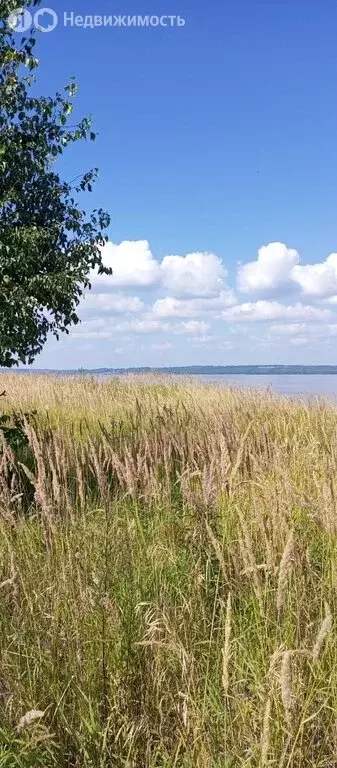 Участок в село Елово, Морская улица, 1 (10 м) - Фото 0