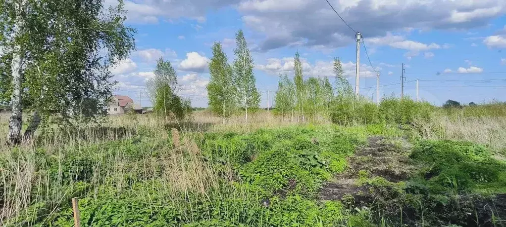 Участок 8 сот. (ИЖС) - Фото 1