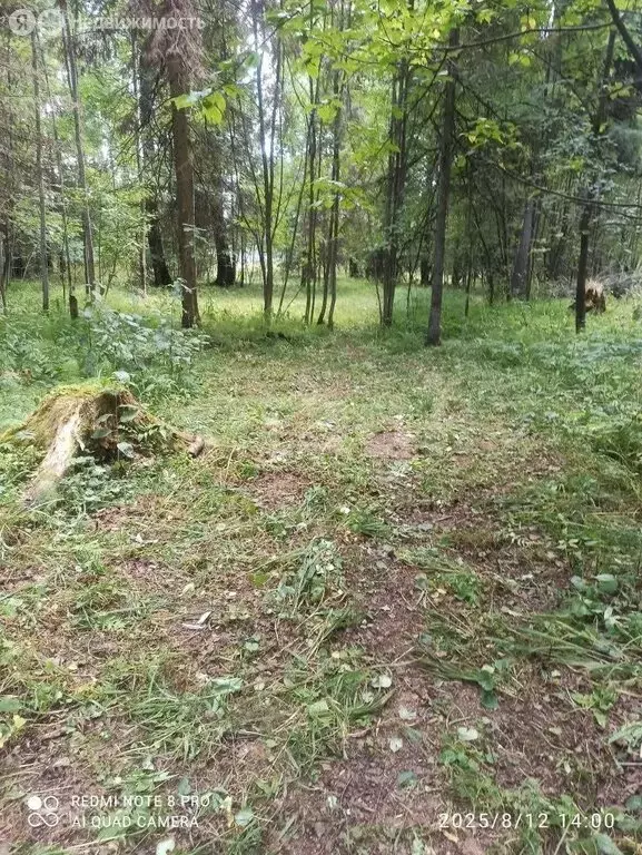 Участок в Пермь, Соловьиная улица (11.8 м) - Фото 2