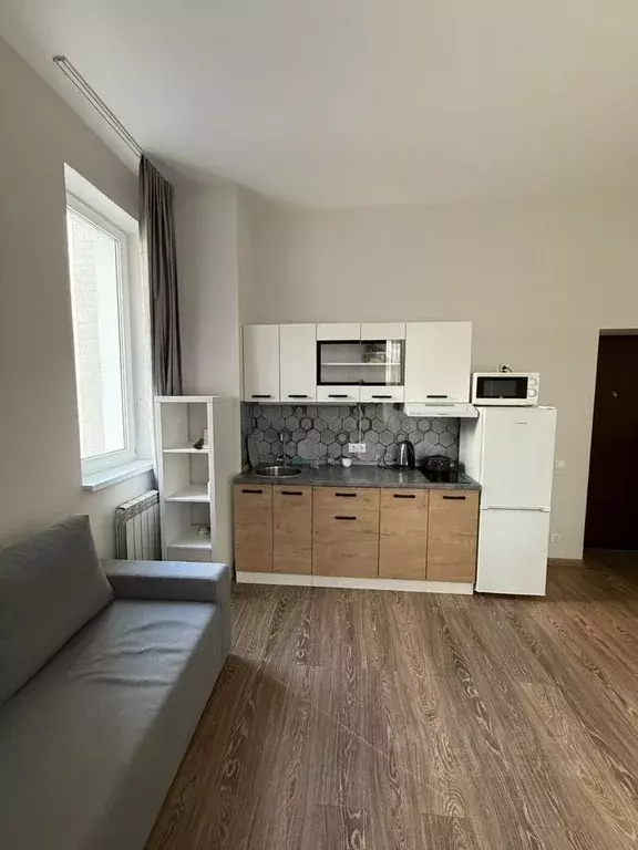 Студия Краснодарский край, Сочи городской округ, с. Орел-Изумруд ул. ... - Фото 2