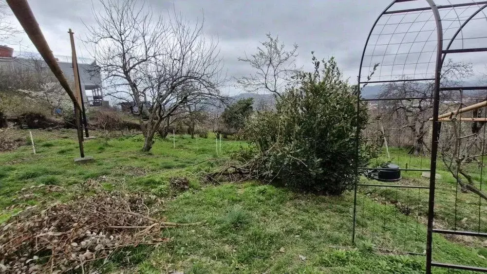 Участок в Краснодарский край, Сочи городской округ, с. Сергей-Поле ул. ... - Фото 2