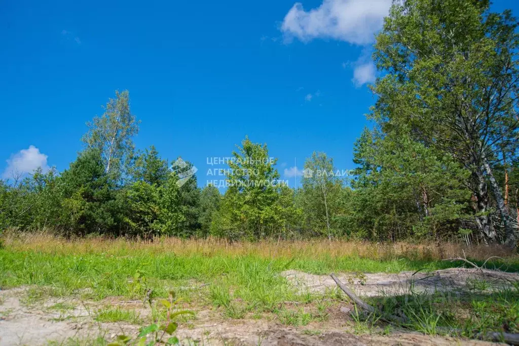 Участок в Рязанская область, Клепиковский муниципальный округ, д. ... - Фото 1