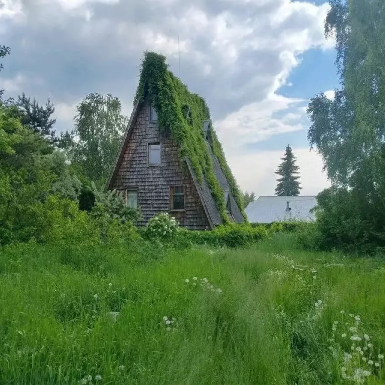 Продается дом в д. Осеченки - Фото 1