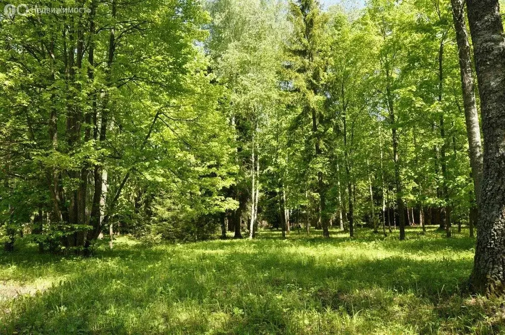 Участок в Одинцовский городской округ, хутор Одинцовский, 17 (12.04 м) - Фото 1