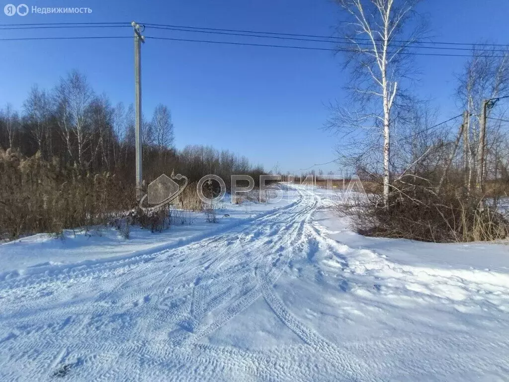 Участок в Тюменский район, село Борки (10.4 м) - Фото 1