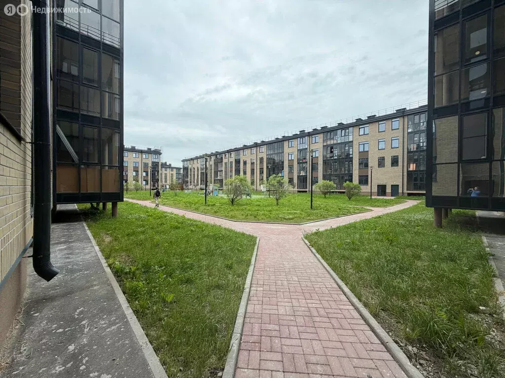 1-комнатная квартира: посёлок Шушары, Соколиная улица, 8к1 (37.54 м) - Фото 2