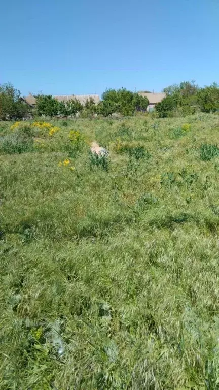 Участок в Краснодарский край, Ейский район, Кухаривское с/пос, с. ... - Фото 1