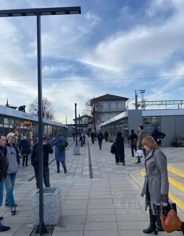 Торговая площадь в Московская область, Домодедово Центральный мкр, пл. ... - Фото 1