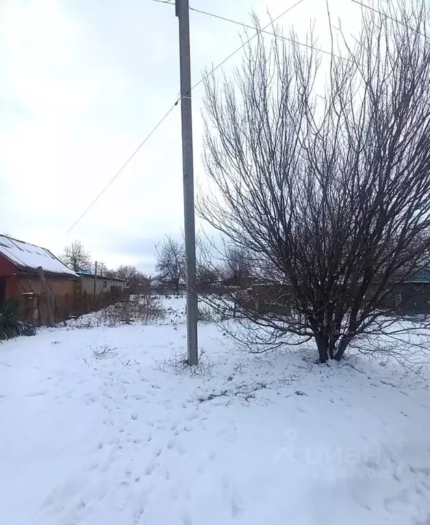 Участок в Краснодарский край, Новокубанск ул. Щорса (5.7 сот.) - Фото 2