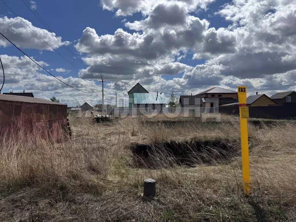 Участок в Новосибирская область, Новосибирский район, Верх-Тулинский ... - Фото 0