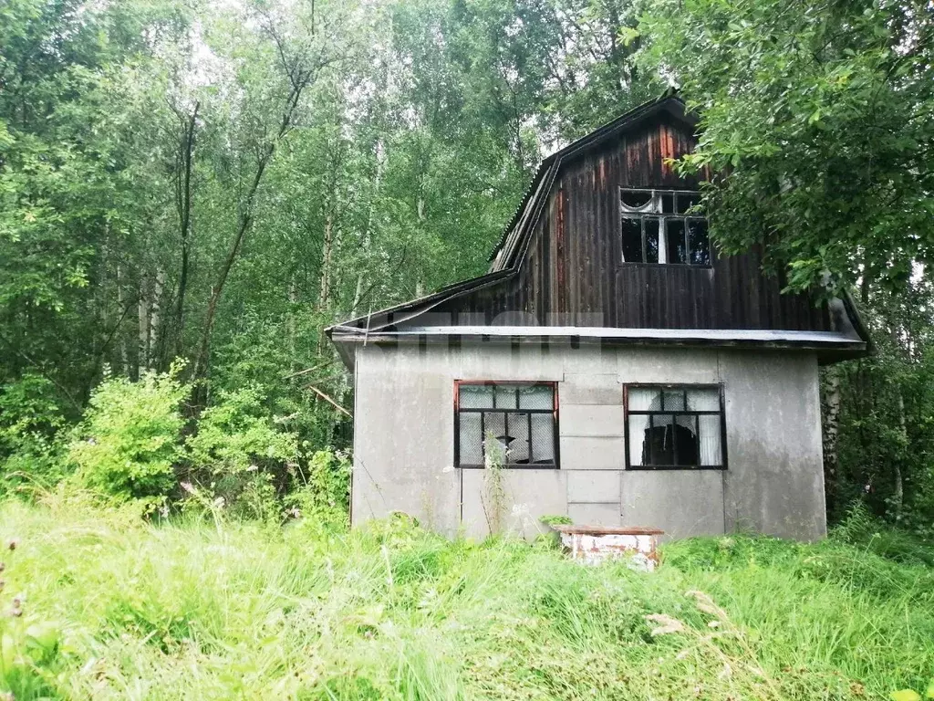 Дом в Вологодская область, Сокольский муниципальный округ, Нива ... - Фото 1