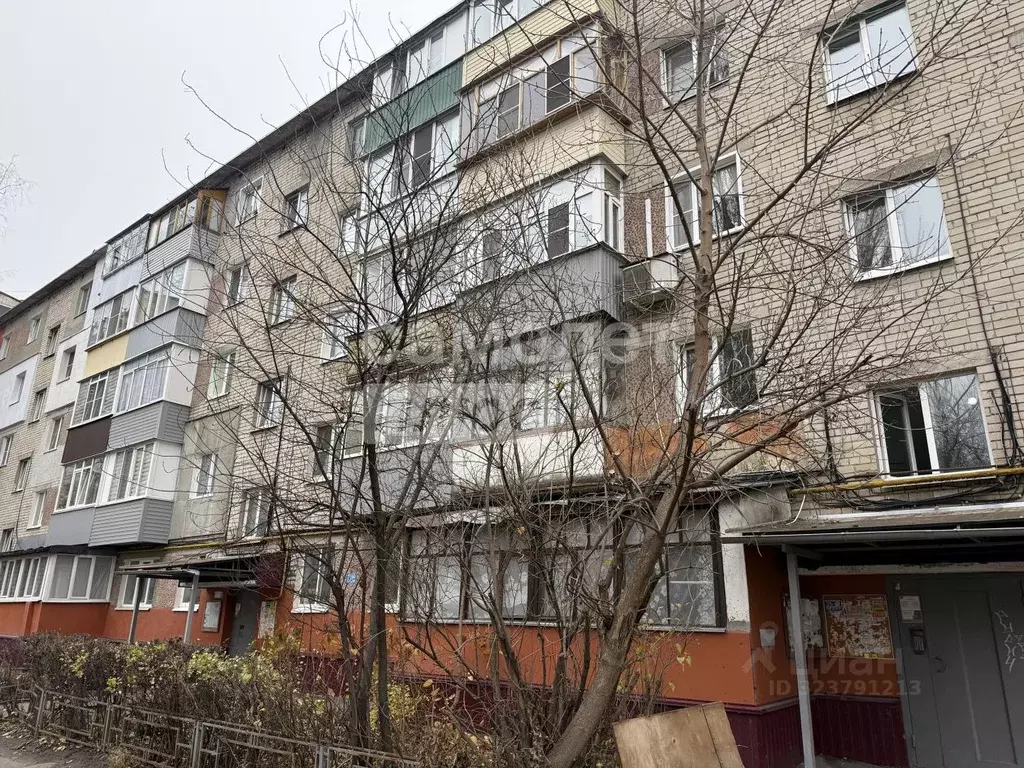 1-к кв. Пензенская область, Пенза ул. Суворова, 194 (32.0 м) - Фото 2