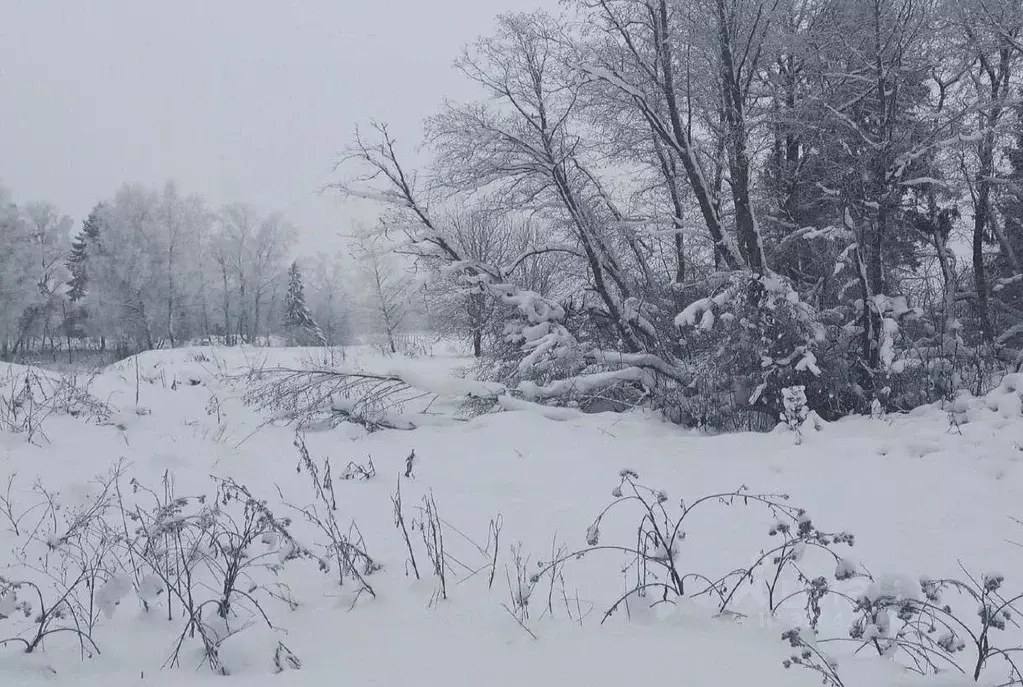 Участок в Московская область, Дмитровский муниципальный округ, пос. ... - Фото 1