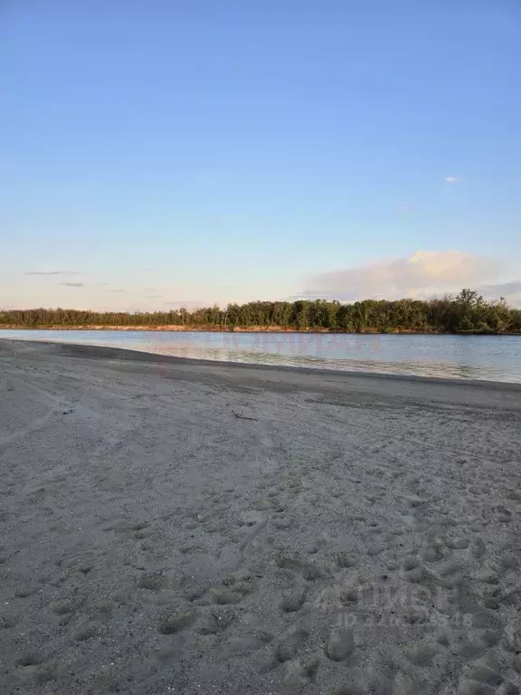 Участок в Ростовская область, Октябрьский район, Бессергеневское ... - Фото 1